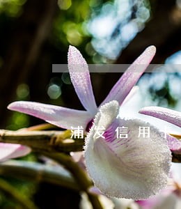 浦发信用卡逾期还款利息利息 浦发信用卡逾期还款利息利息