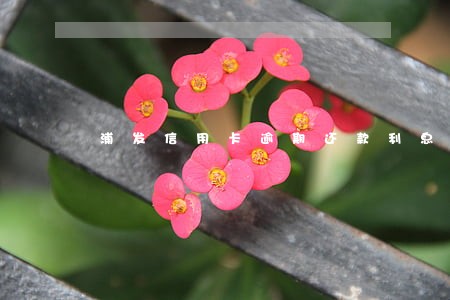 浦发信用卡逾期还款利息好高 浦发信用卡逾期还款利息好高