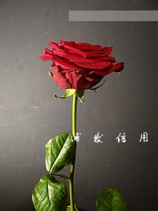 浦发信用卡逾期还款受限 浦发信用卡逾期还款受限