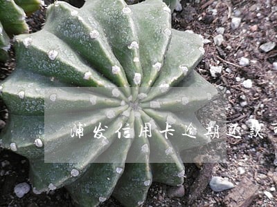 浦发信用卡逾期还款可以使用 浦发信用卡逾期还款可以使用