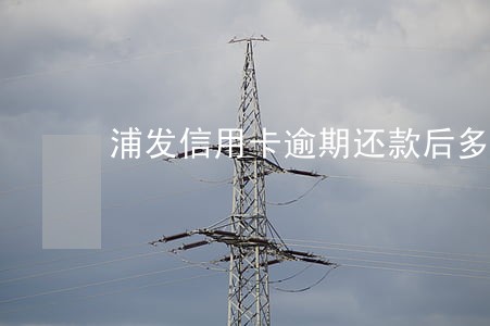 浦发信用卡逾期还款后多久可以用