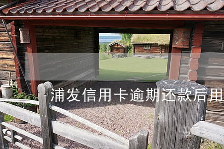 浦发信用卡逾期还款后用不了 浦发信用卡逾期还款后用不了
