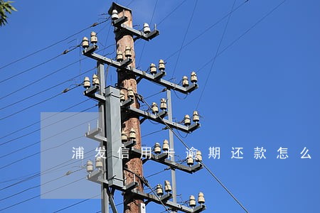 浦发信用卡逾期还款怎么处理 浦发信用卡逾期还款怎么处理