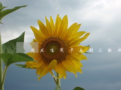 浦发信用卡逾期还款成功截图 浦发信用卡逾期还款成功截图