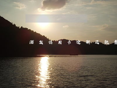浦发信用卡逾期还款费用 浦发信用卡逾期还款费用