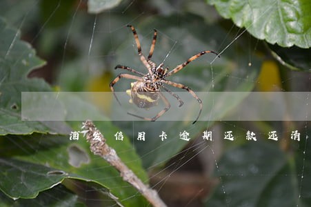 浦发信用卡逾期还款还清了
