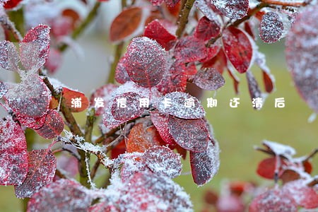 浦发信用卡逾期还清后