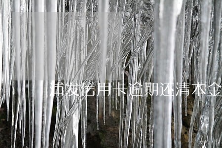 浦发信用卡逾期还清本金平账 浦发信用卡逾期还清本金平账
