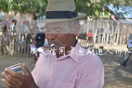 浦发信用卡逾期进入诉讼程序