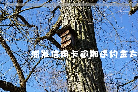浦发信用卡逾期违约金太高了