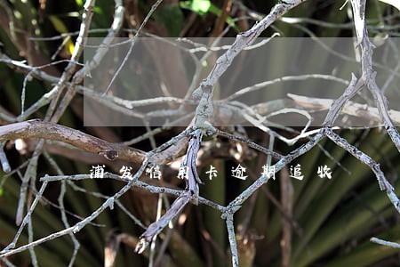 浦发信用卡逾期追收