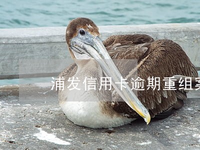 浦发信用卡逾期重组案例 浦发信用卡逾期重组案例