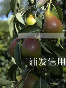 浦发信用卡逾期银保监投诉电话 浦发信用卡逾期银保监投诉电话
