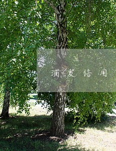 浦发信用卡逾期银行不协商