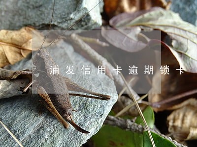 浦发信用卡逾期锁卡