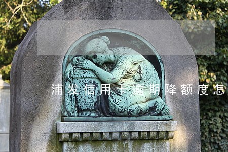 浦发信用卡逾期降额度怎么办 浦发信用卡逾期降额度怎么办