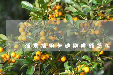 浦发信用卡逾期降额怎么恢复 浦发信用卡逾期降额怎么恢复