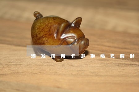 浦发信用卡逾期隔天解封 浦发信用卡逾期隔天解封