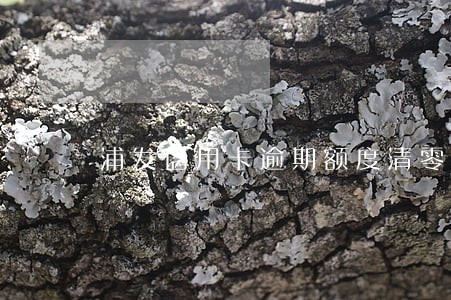 浦发信用卡逾期额度清零 浦发信用卡逾期额度清零