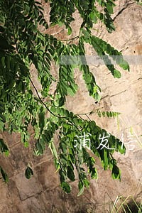 浦发信用卡逾期额度被锁死6 浦发信用卡逾期额度被锁死6