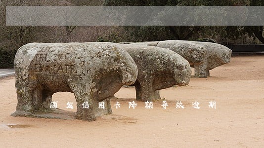 浦发信用卡降额导致逾期 浦发信用卡降额导致逾期