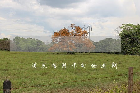 浦发信用卡面临逾期 浦发信用卡面临逾期