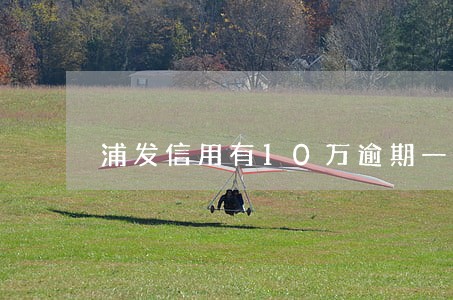 浦发信用有10万逾期一年的吗 浦发信用有10万逾期一年的吗