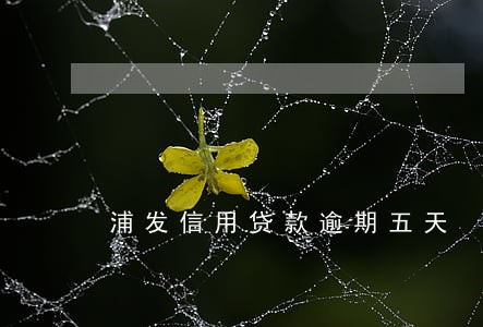 浦发信用贷款逾期五天 浦发信用贷款逾期五天