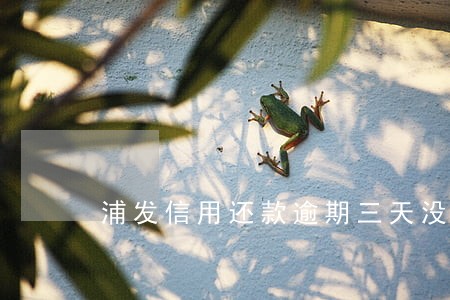 浦发信用还款逾期三天没事吧 浦发信用还款逾期三天没事吧