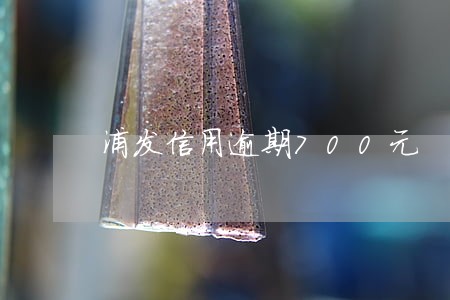 浦发信用逾期700元 浦发信用逾期700元