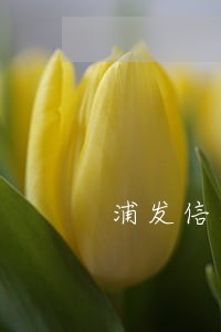 浦发信用逾期了怎么办 浦发信用逾期了怎么办