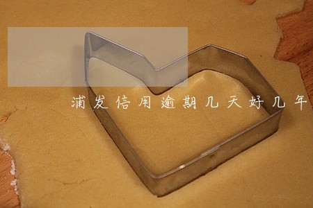 浦发信用逾期几天好几年 浦发信用逾期几天好几年
