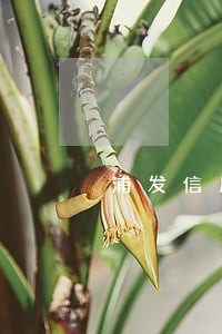 浦发信用逾期半年 浦发信用逾期半年