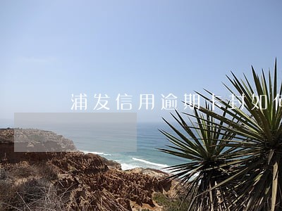 浦发信用逾期卡封如何解封 浦发信用逾期卡封如何解封