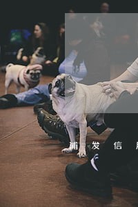 浦发信用逾期多久封卡 浦发信用逾期多久封卡