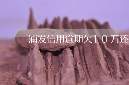 浦发信用逾期欠10万还不上