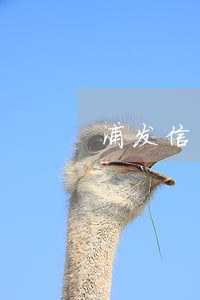 浦发信用逾期费怎么算 浦发信用逾期费怎么算