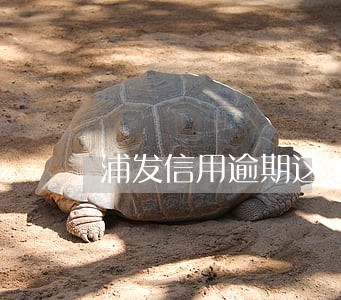 浦发信用逾期这么办 浦发信用逾期这么办