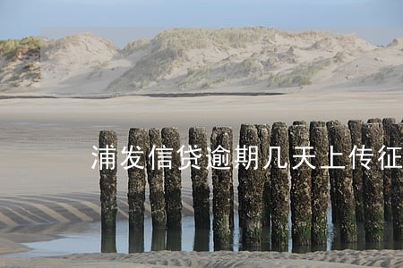 浦发信贷逾期几天上传征信 浦发信贷逾期几天上传征信