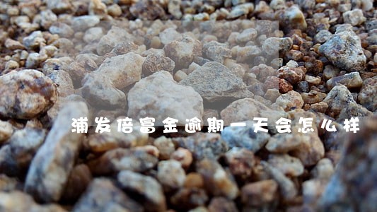 浦发倍富金逾期一天会怎么样 浦发倍富金逾期一天会怎么样