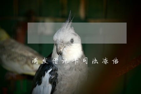浦发借记卡司法冻结 浦发借记卡司法冻结
