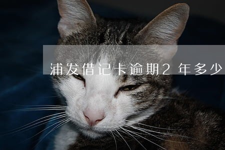 浦发借记卡逾期2年多少钱 浦发借记卡逾期2年多少钱