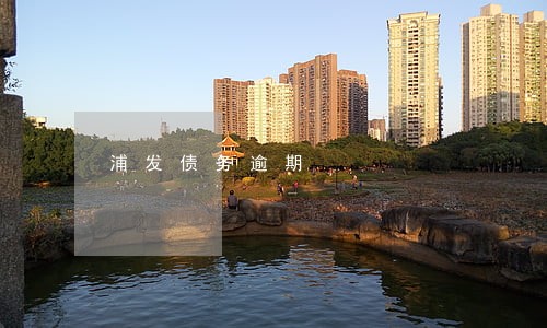 浦发债务逾期 浦发债务逾期