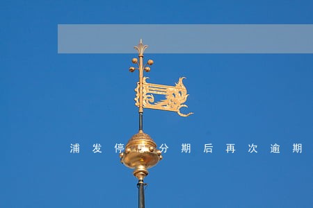 浦发停息分期后再次逾期 浦发停息分期后再次逾期