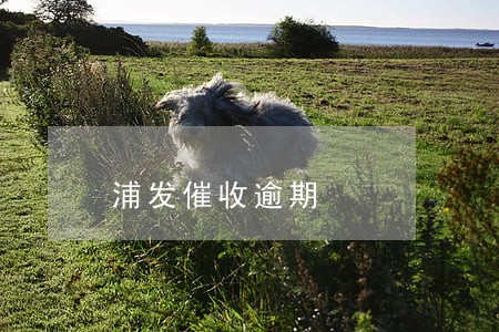 浦发催收逾期 浦发催收逾期