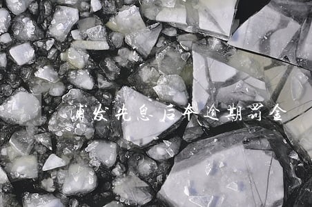浦发先息后本逾期罚金 浦发先息后本逾期罚金