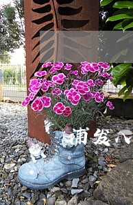 浦发八万逾期九个月 浦发八万逾期九个月