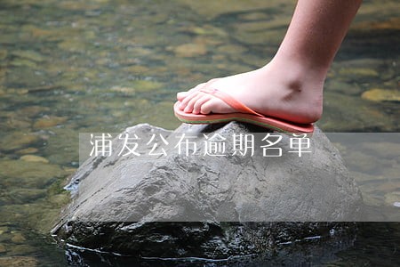 浦发公布逾期名单 浦发公布逾期名单