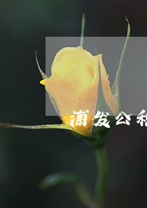 浦发公积金点贷逾期一天 浦发公积金点贷逾期一天