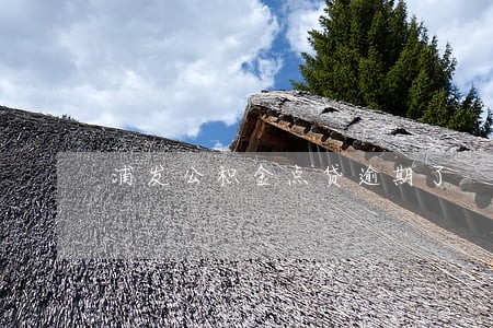 浦发公积金点贷逾期了 浦发公积金点贷逾期了